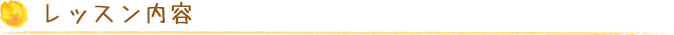 レッスン内容